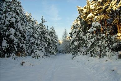 《英雄联盟》新英雄Nilah概念图曝出 长刀近战ADC