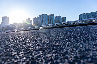 经营模拟《东方夜雀食堂》Steam正式发售 国区售价38元